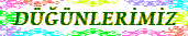 D���NLER�M�Z
