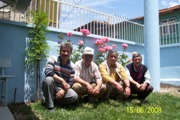 cami_023a