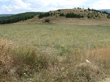 IMG_0922a